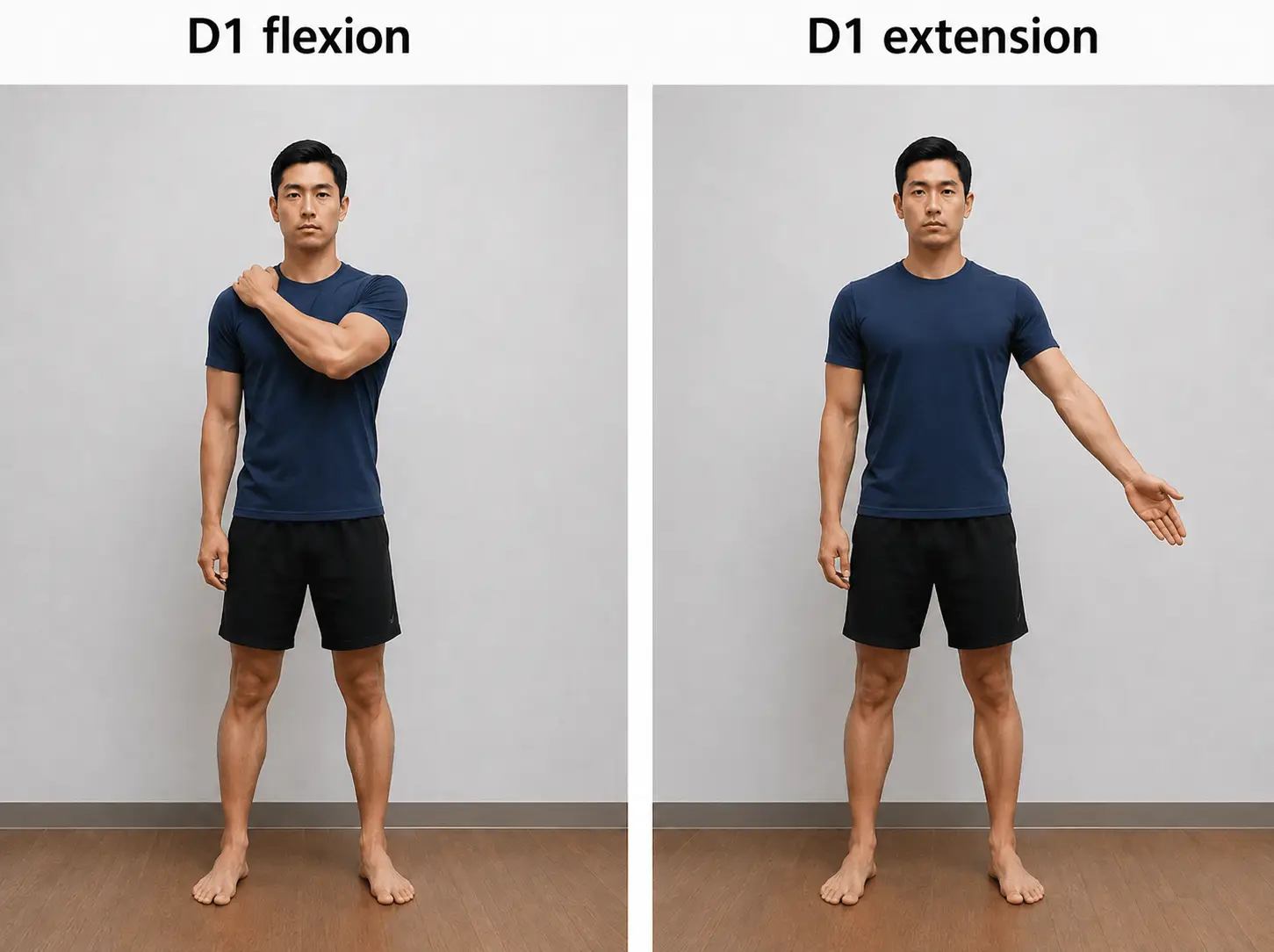 Side-by-side photos demonstrating D1 shoulder flexion and D1 shoulder extension.