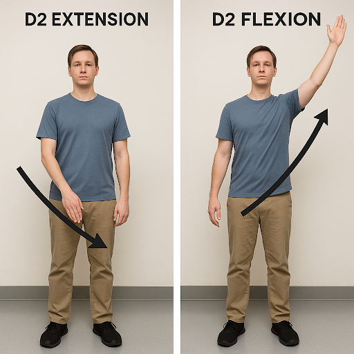 D2 flexion and extension