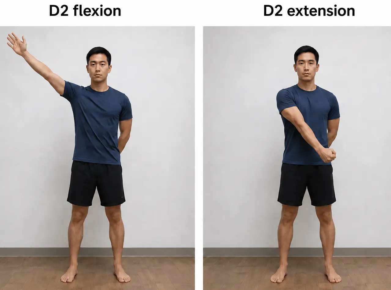 Side-by-side photos demonstrating D2 shoulder flexion and D2 shoulder extension.