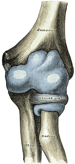 Elbow joint