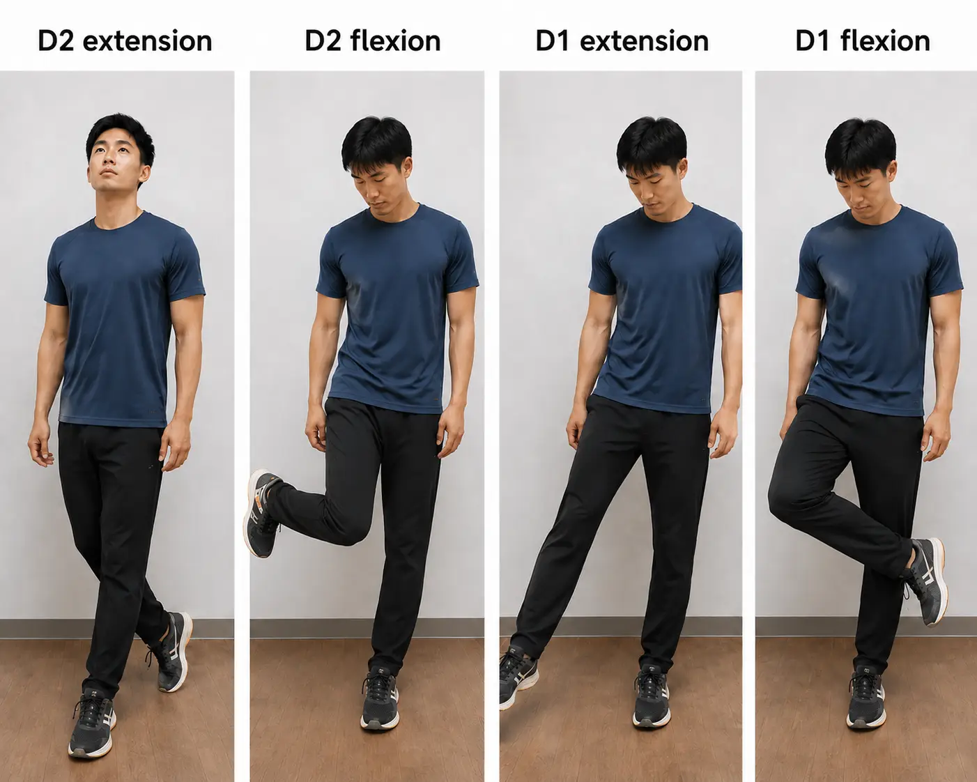Four-panel demonstration of D2 extension, D2 flexion, D1 extension, and D1 flexion leg positions.