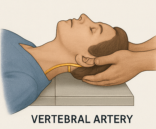 Vertebral artery test