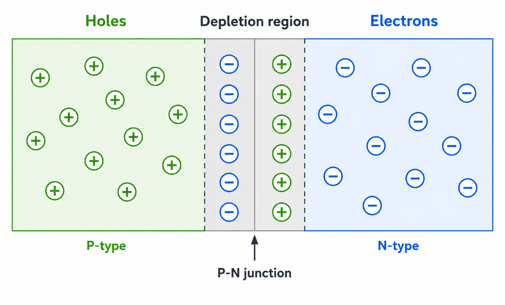 P-N junction showing the boundary between p-type and n-type semiconductor material.