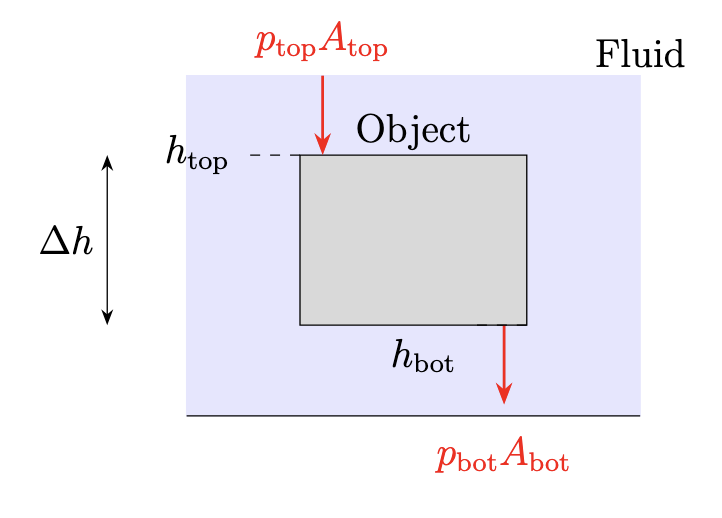 Buoyancy & Archimedes' principle