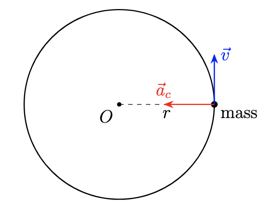 Centripetal acceleration during circular motion