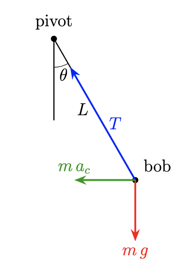 Free body diagram of conical pendulum