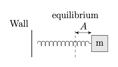 Spring mass system according to the question
